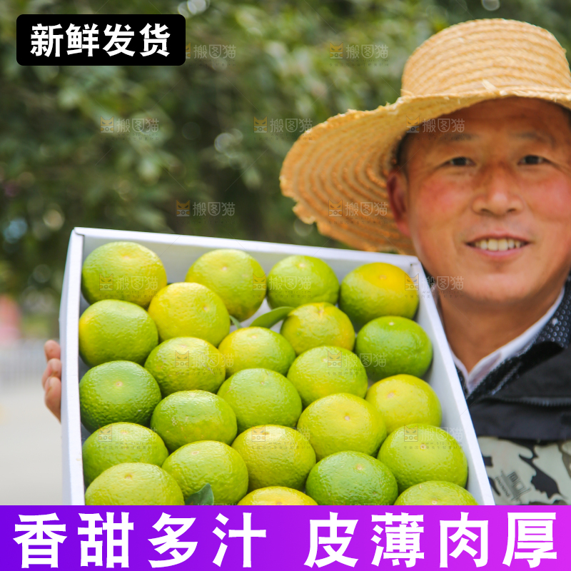 手里拿着建阳桔柚