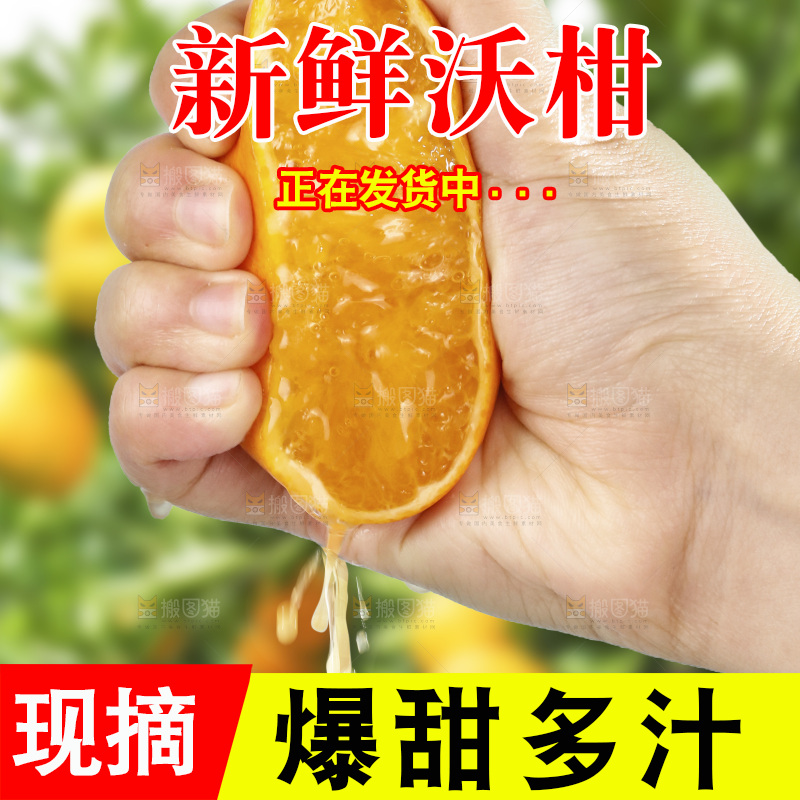 手里拿着沃柑