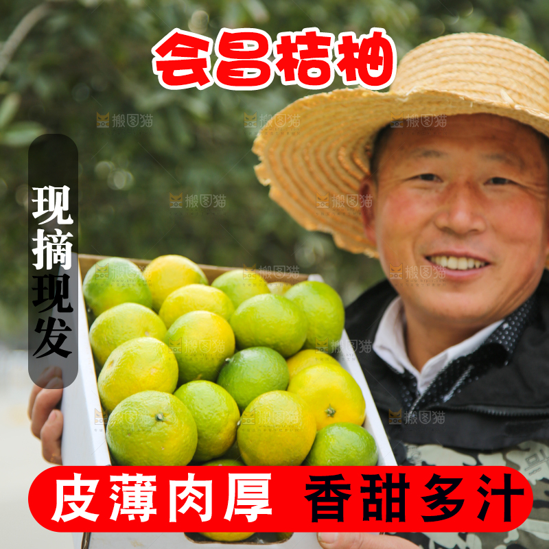 手里拿着建阳桔柚