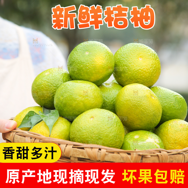 手里拿着建阳桔柚