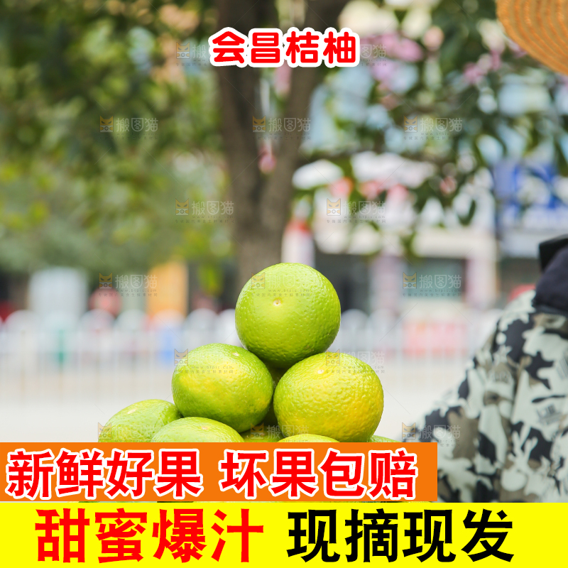 手里拿着建阳桔柚