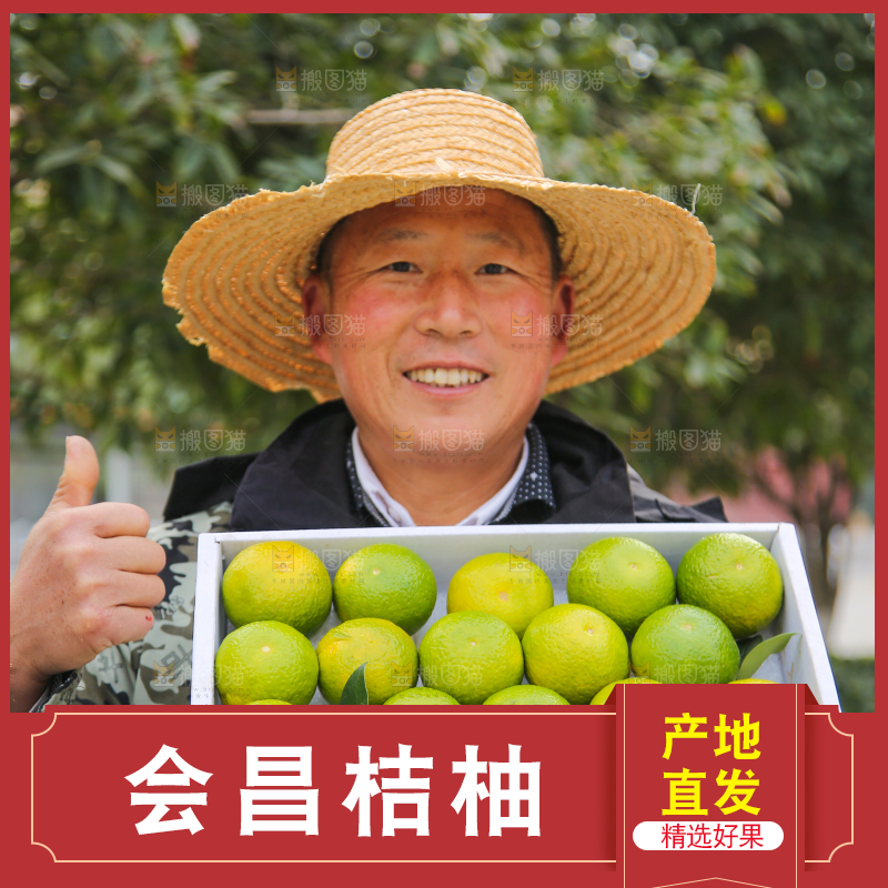 手里拿着建阳桔柚