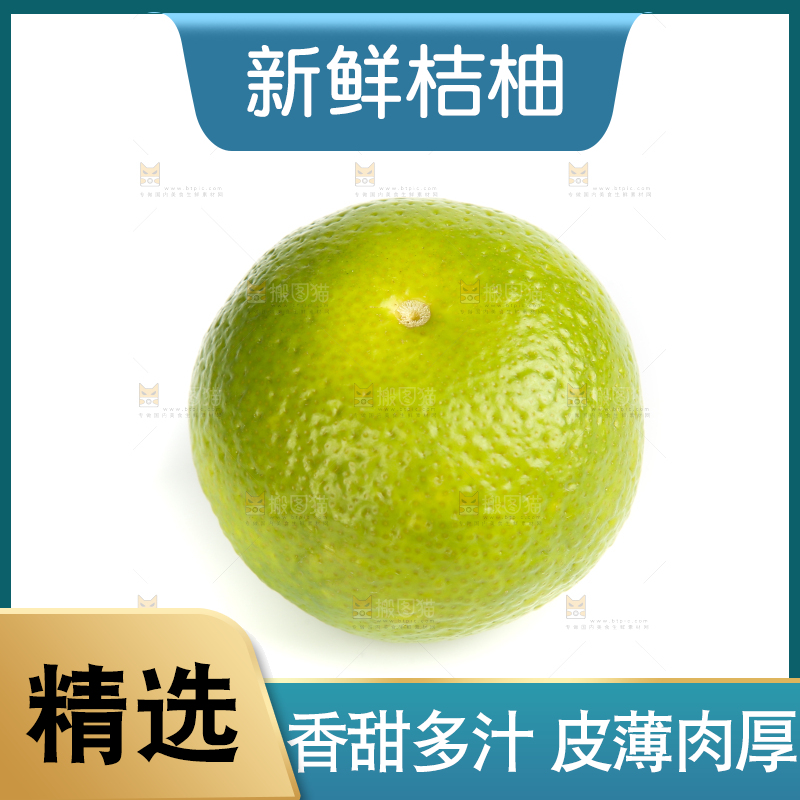 白底上的桔柚
