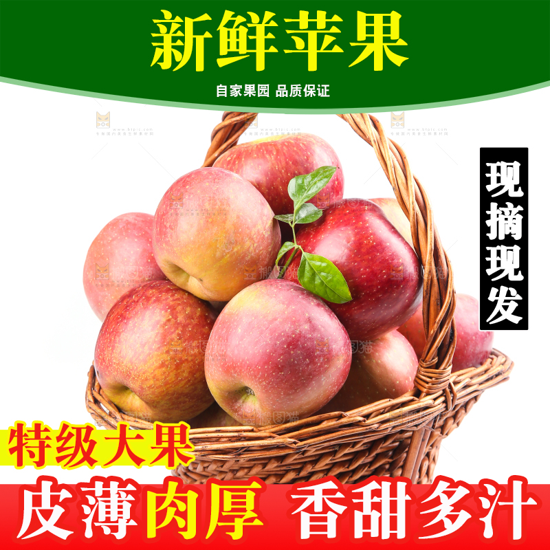 白底上的丑苹果