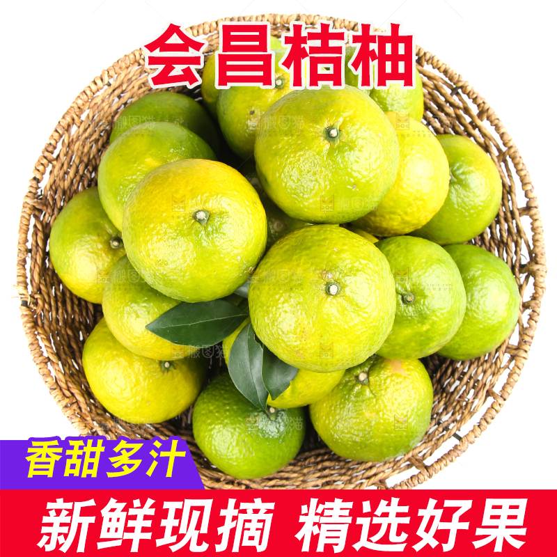白底上的桔柚
