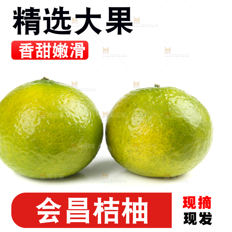 白底上的桔柚