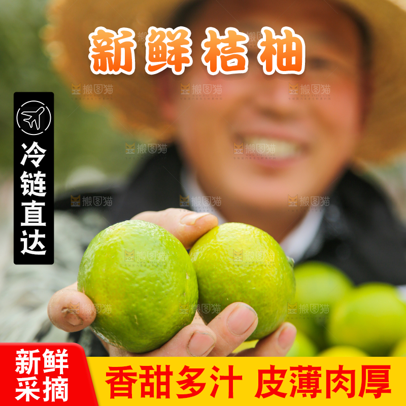 手里拿着建阳桔柚