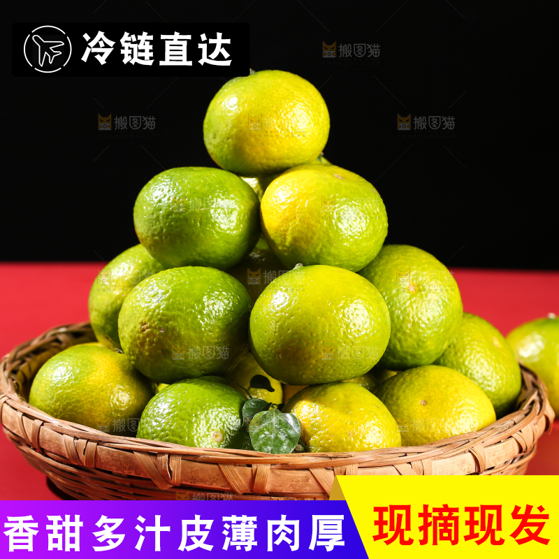深底上的建阳桔柚