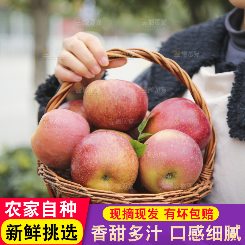 手里拿着丑苹果