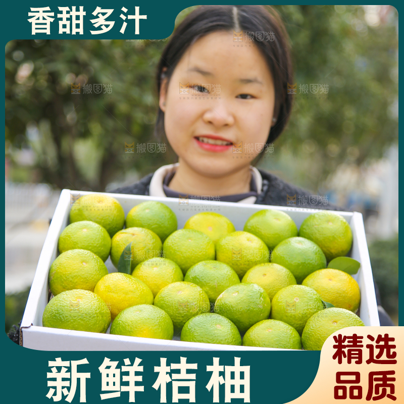 手里拿着建阳桔柚