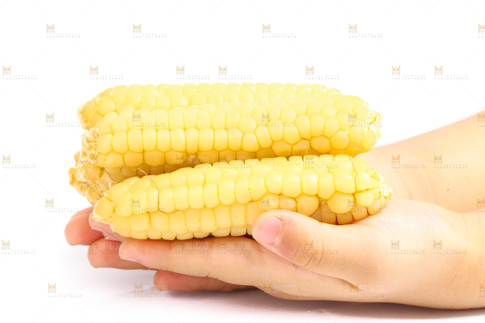 白底上的手指糯玉米