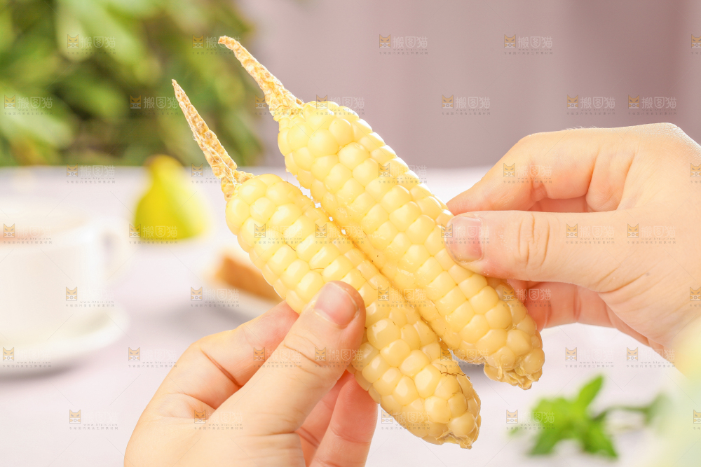 浅底上的手指糯玉米