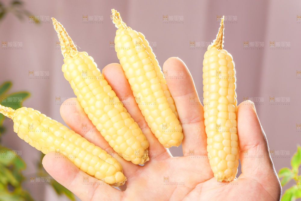 浅底上的手指糯玉米