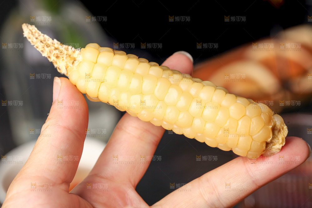 深底上的拇指小玉米