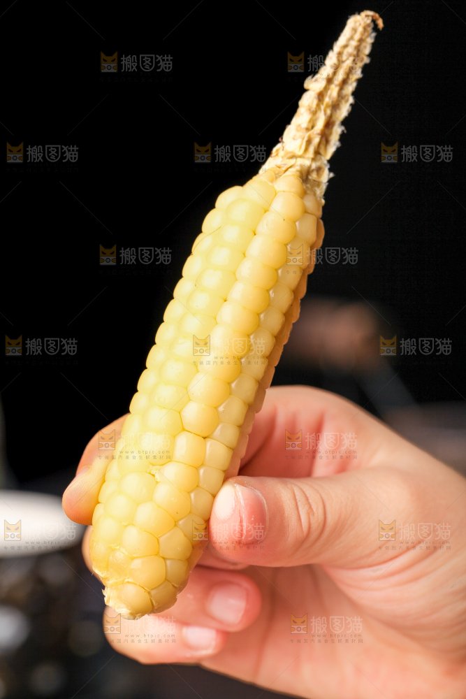深底上的拇指小玉米