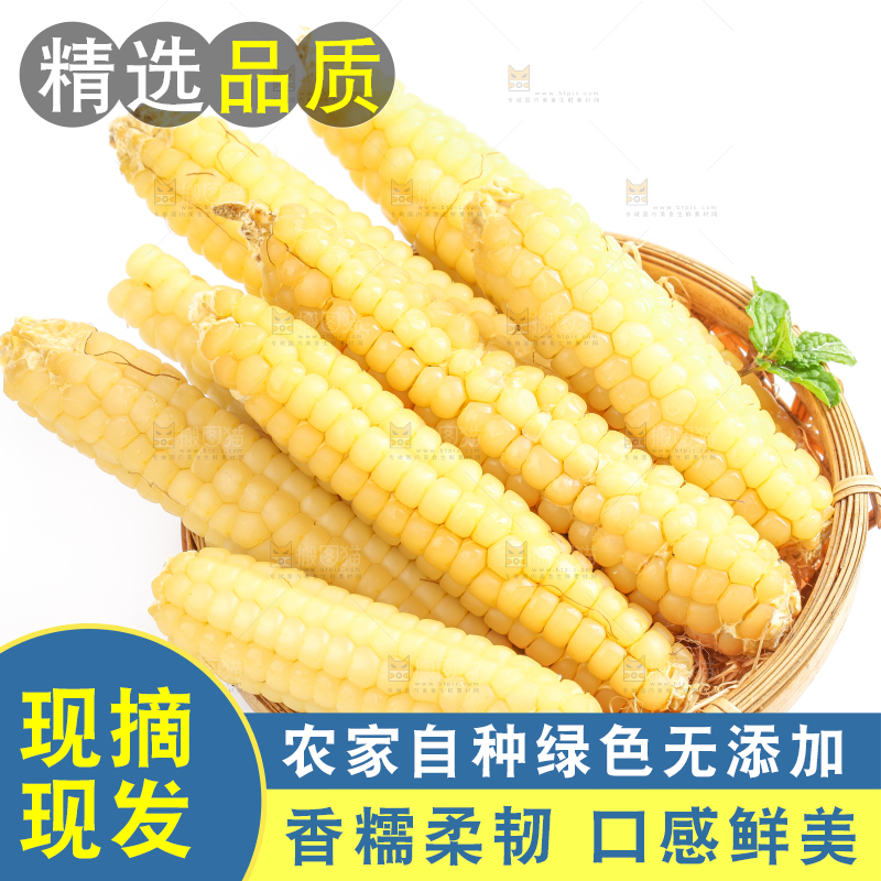 白底上的手指糯玉米