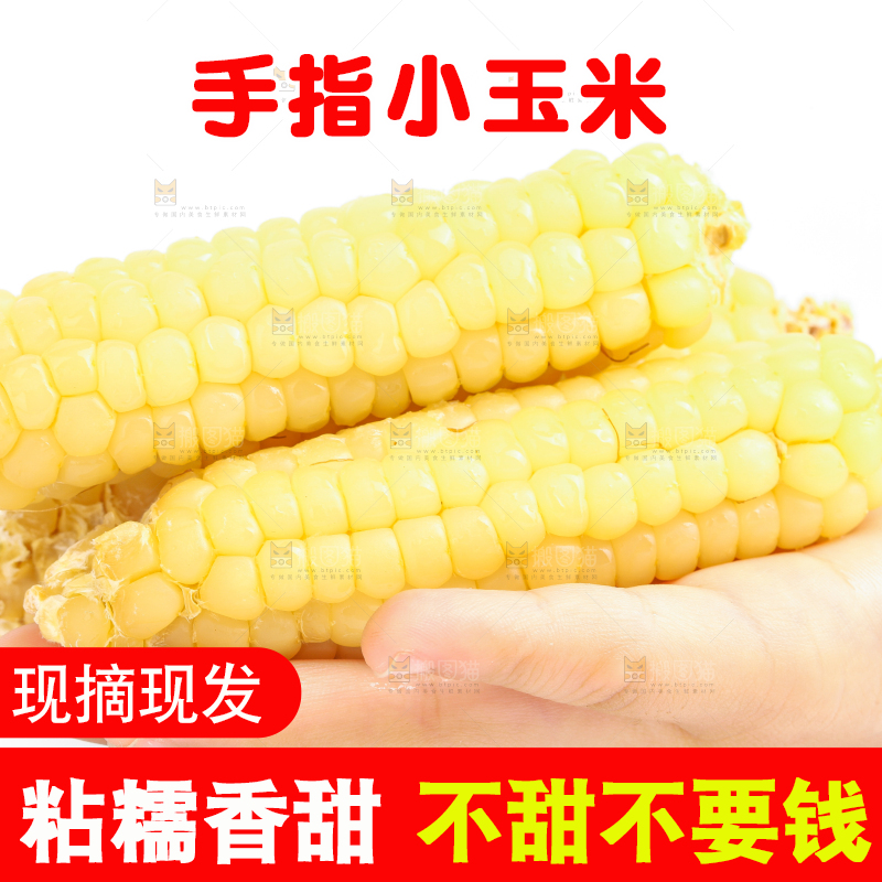 白底上的手指糯玉米