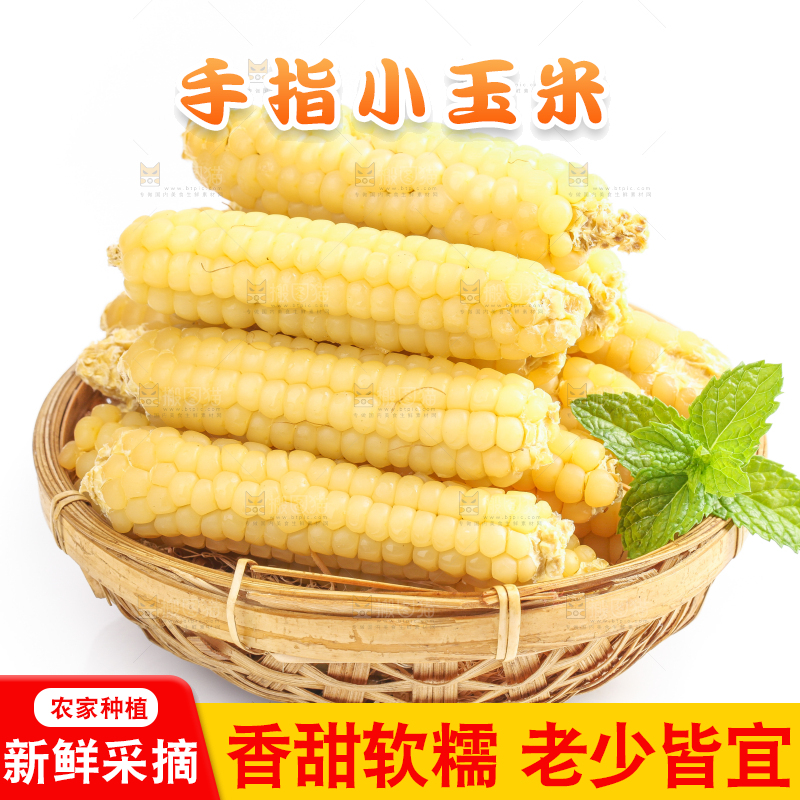 白底上的手指糯玉米