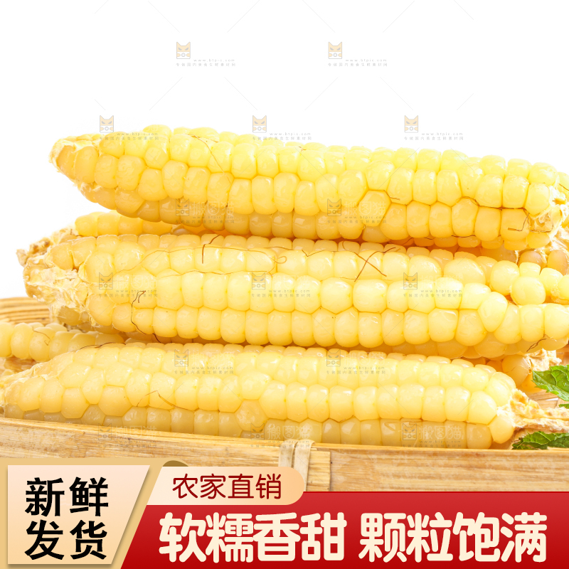 白底上的手指糯玉米