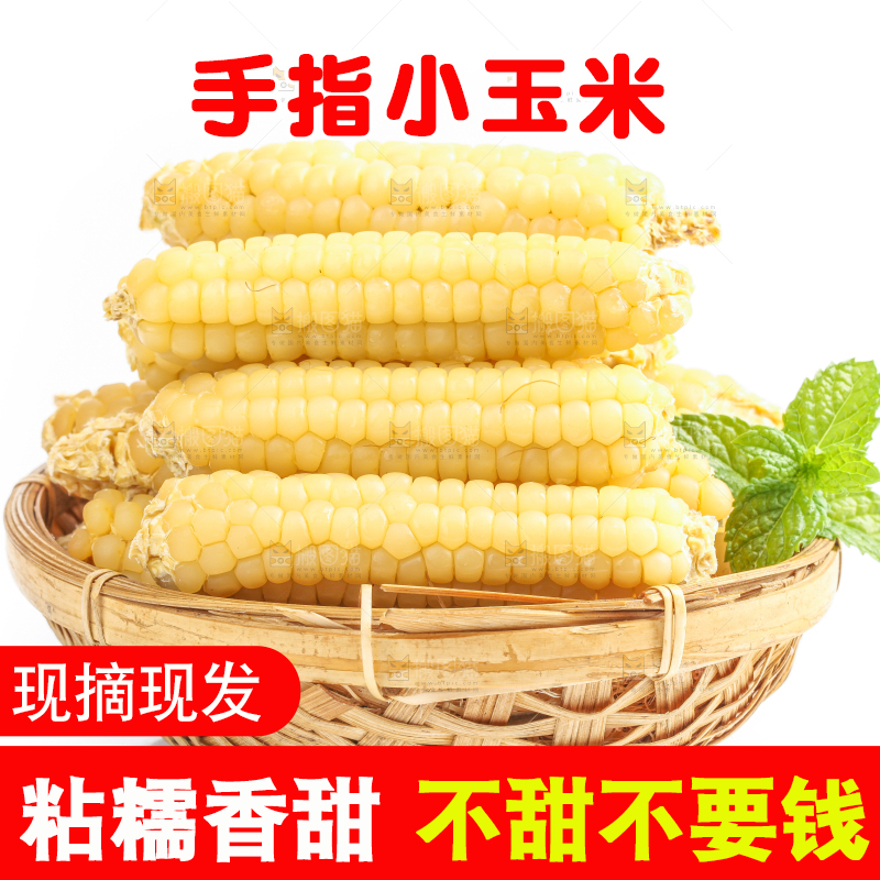 白底上的手指糯玉米