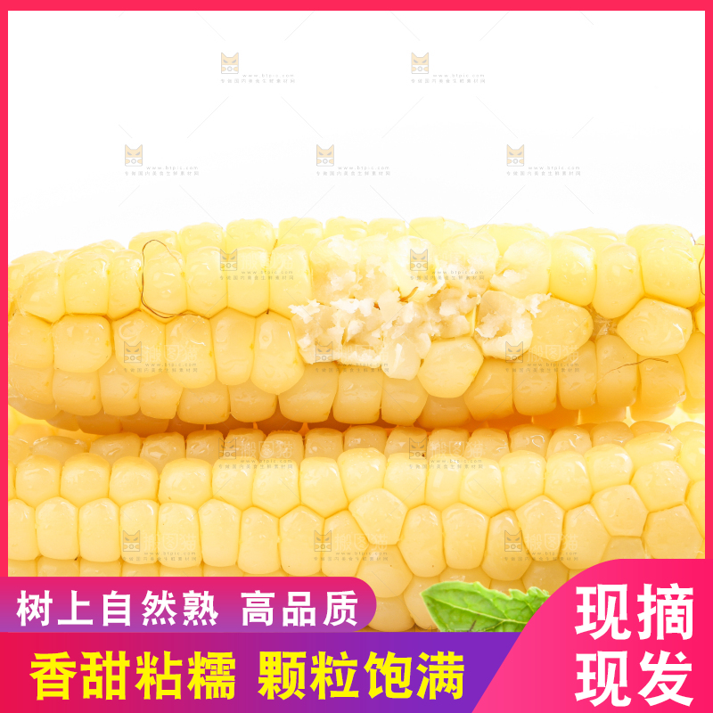 白底上的手指糯玉米