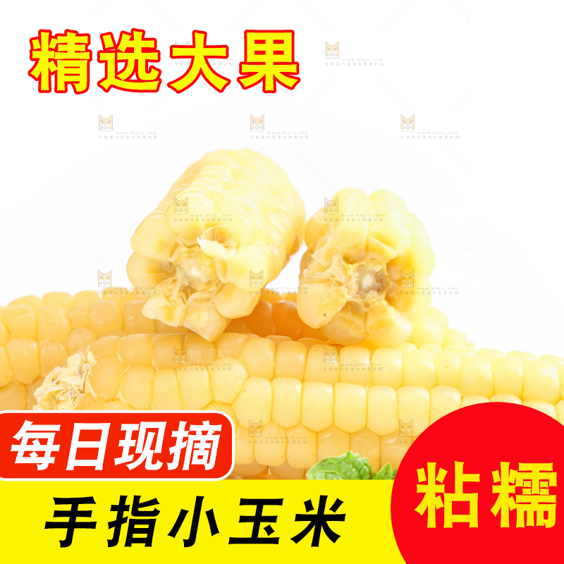 白底上的手指糯玉米
