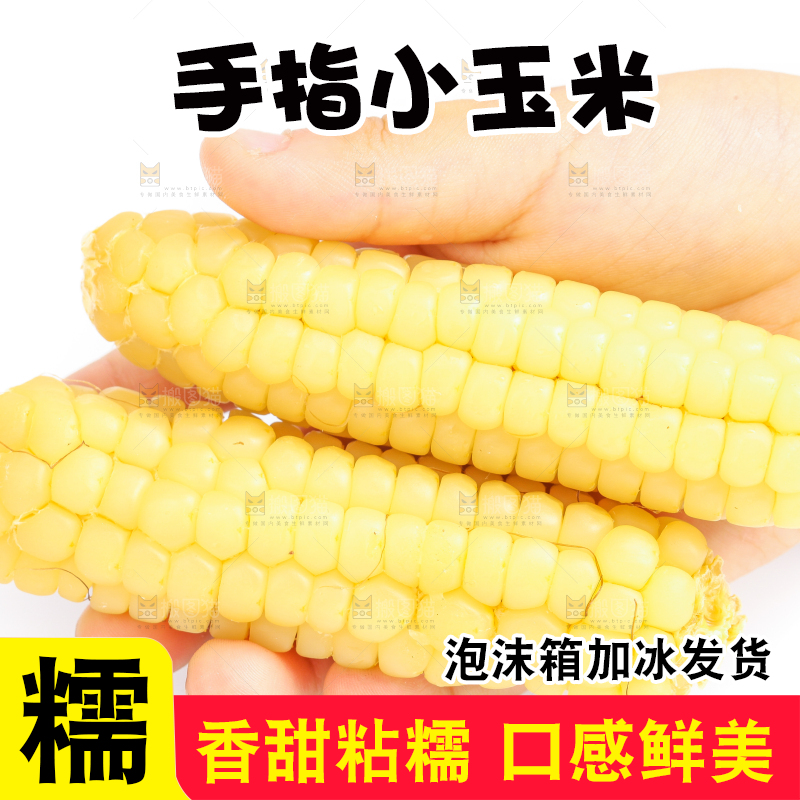 白底上的手指糯玉米