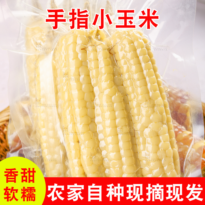 浅底上的手指糯玉米
