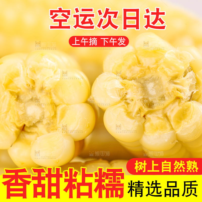 浅底上的手指糯玉米