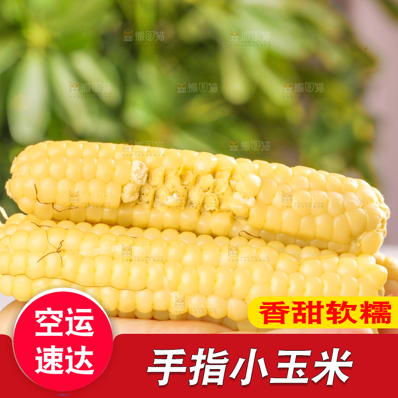 浅底上的手指糯玉米
