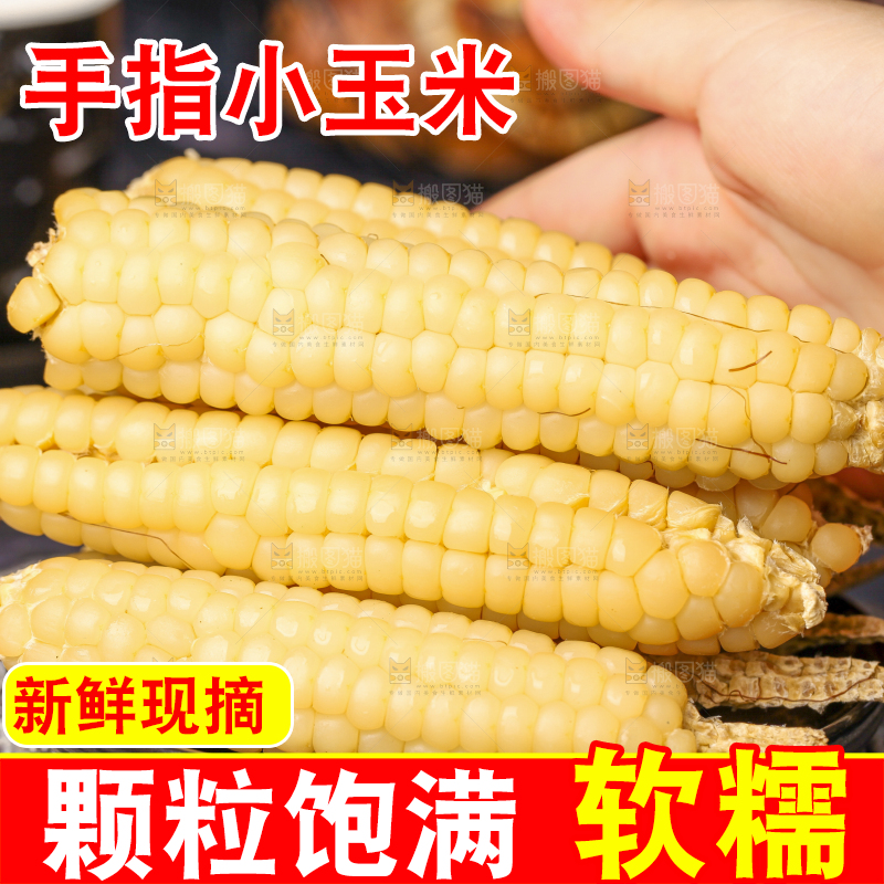 深底上的拇指小玉米