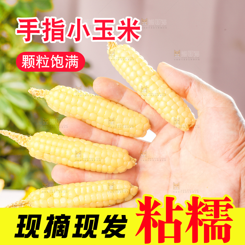 浅底上的手指糯玉米