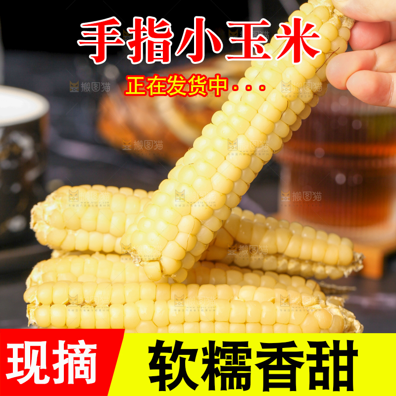 深底上的拇指小玉米