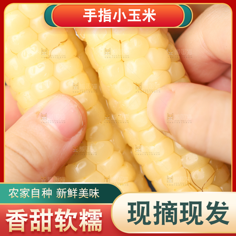 深底上的拇指小玉米