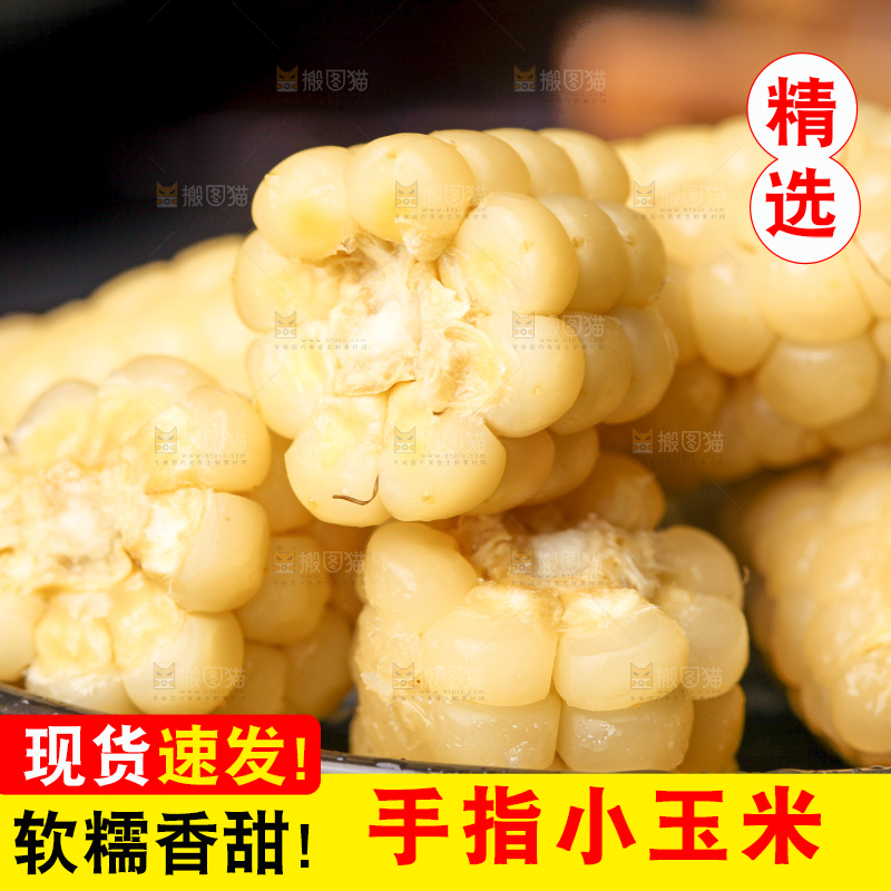 深底上的拇指小玉米