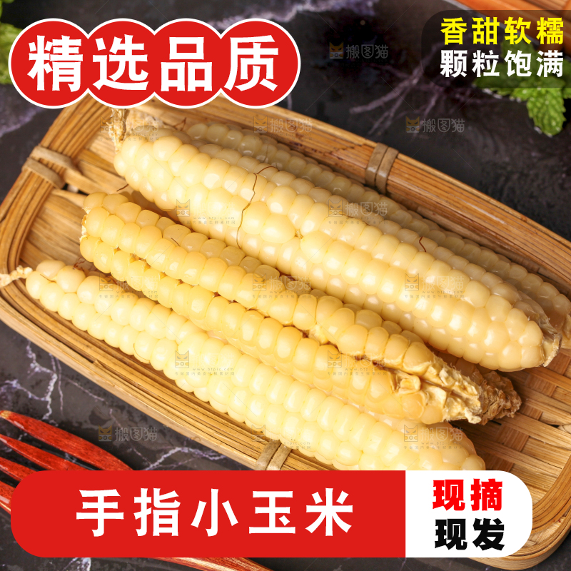 深底上的拇指小玉米