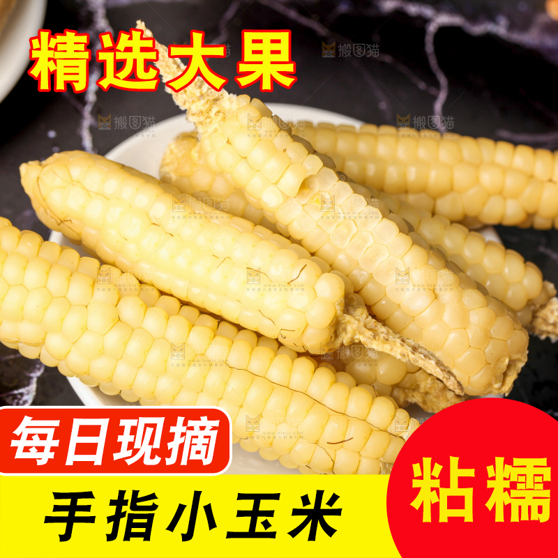 深底上的拇指小玉米