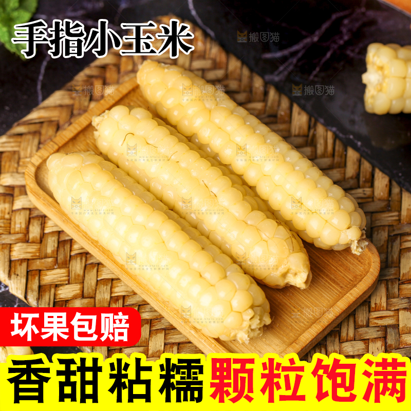 深底上的拇指小玉米