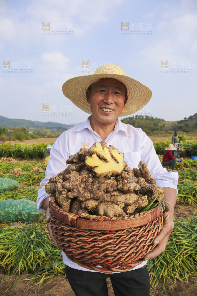 手里拿着新鲜生姜