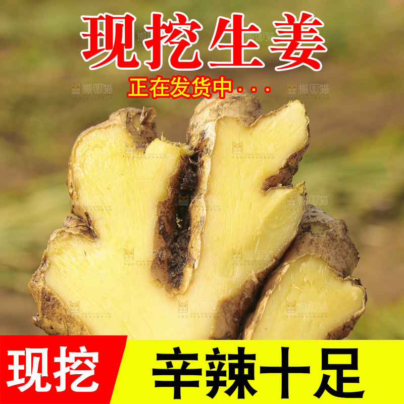手里拿着新鲜生姜