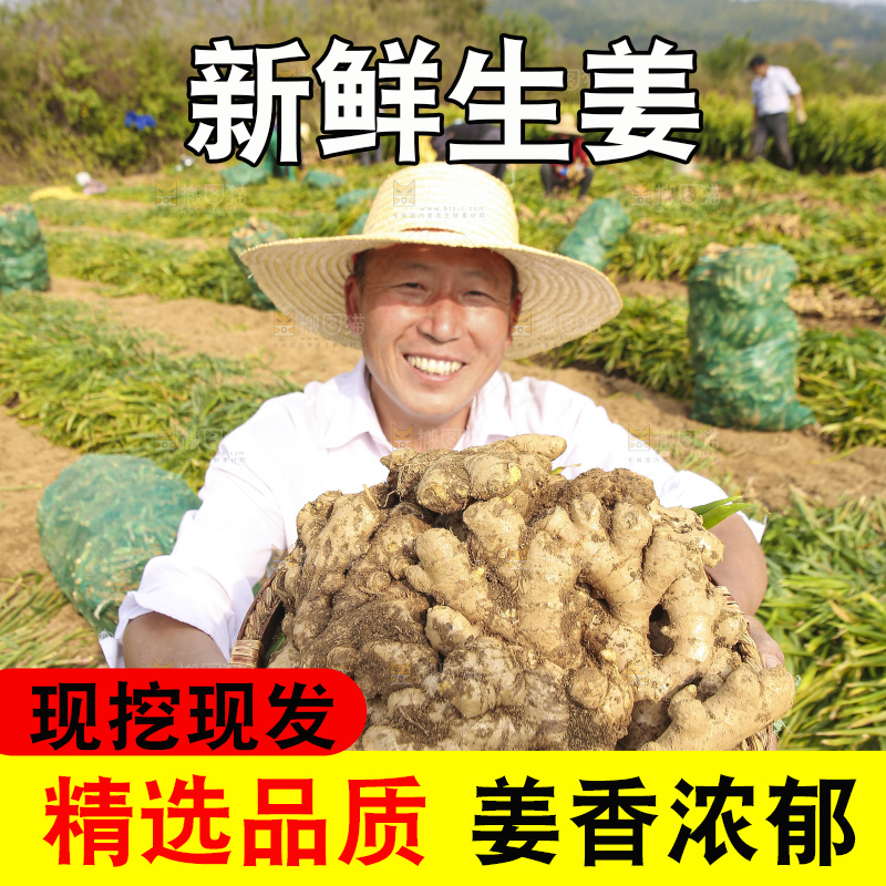 手里拿着新鲜生姜