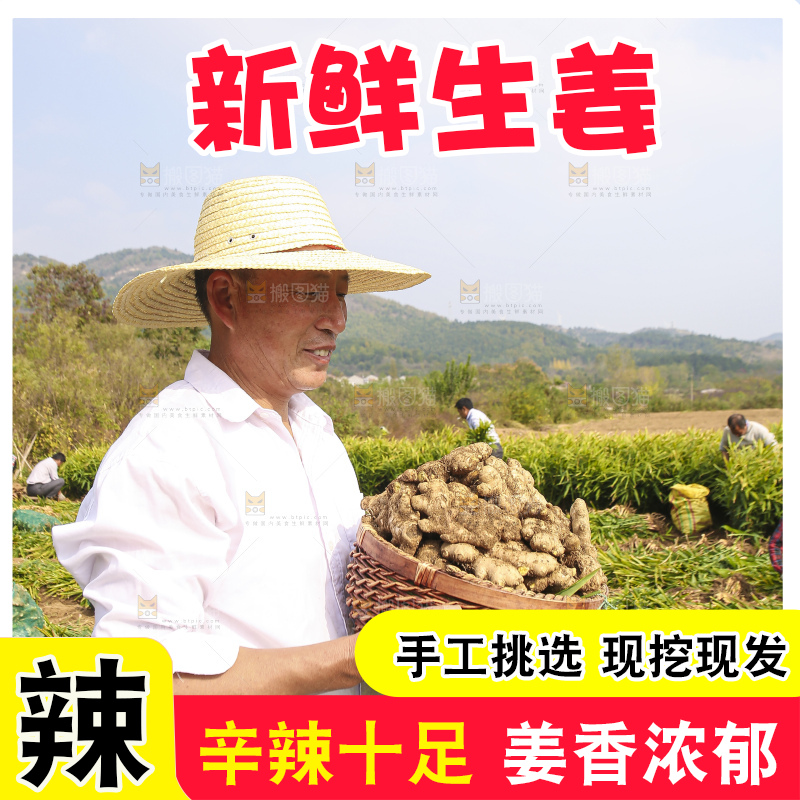 手里拿着新鲜生姜