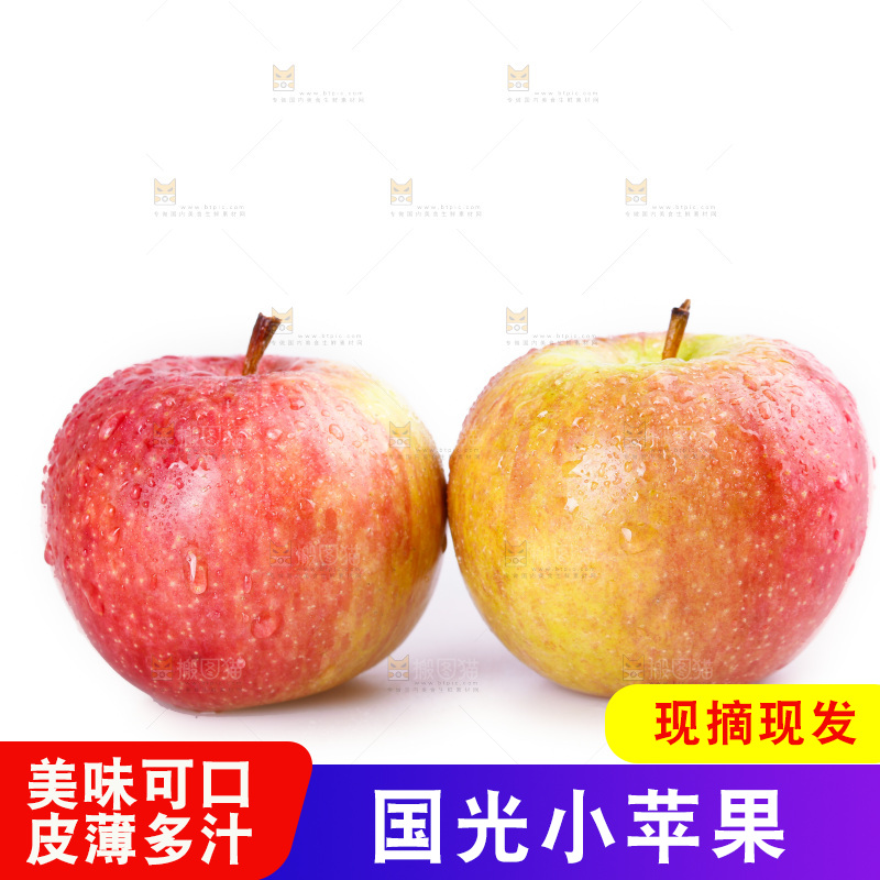 白底上的国光苹果