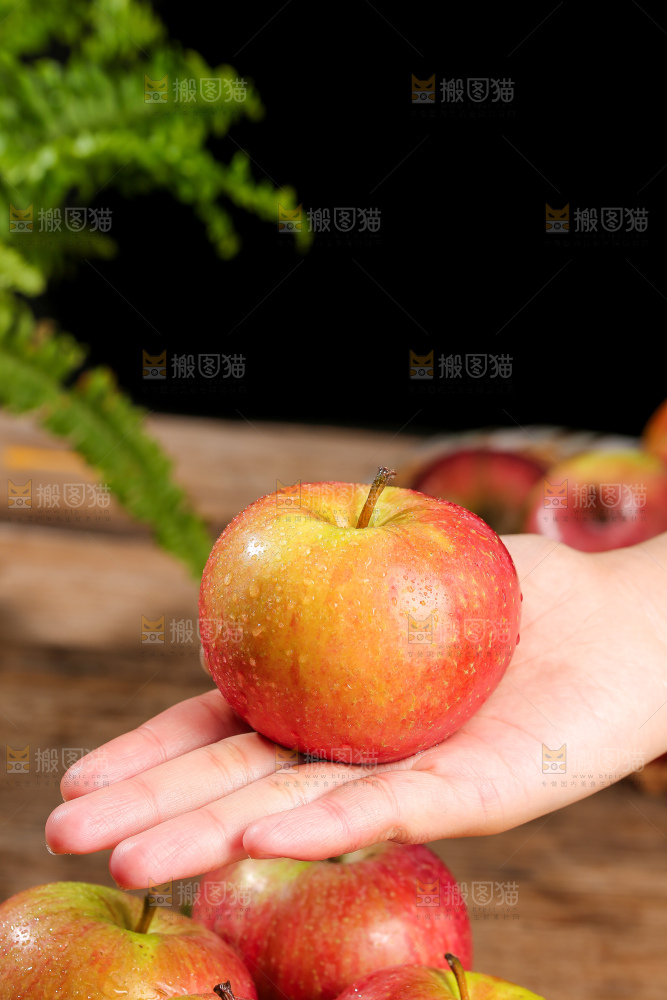 深底上的国光苹果