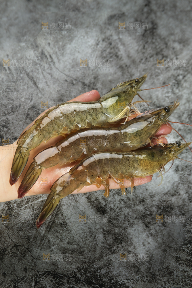 手里拿着青岛大虾