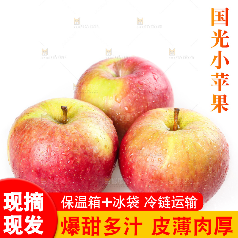 白底上的国光苹果