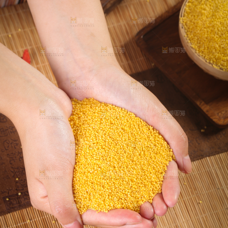 深底上小黄米