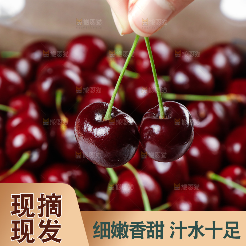 白底上的车厘子