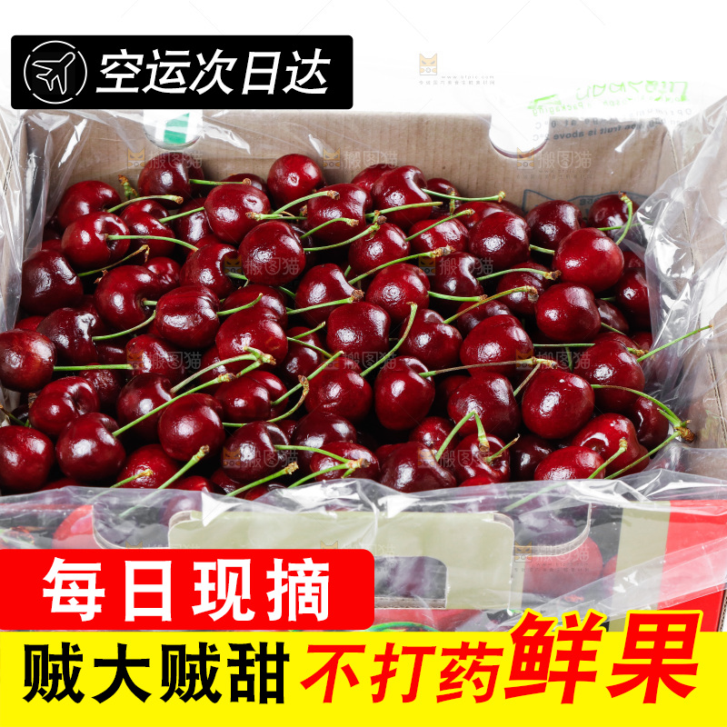 白底上的车厘子