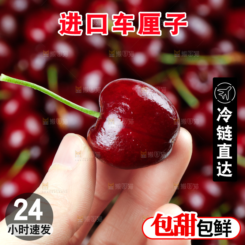 白底上的车厘子